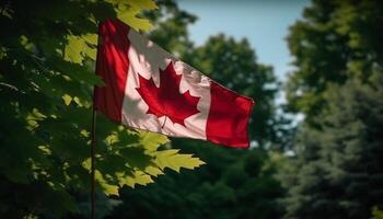 Maple leaf waving in the Canadian sun generative AI photo