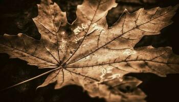 Veins of autumn leaves reveal nature beauty generative AI photo