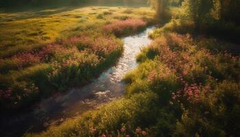 flores silvestres floración en prado, un vistoso escena generativo ai foto