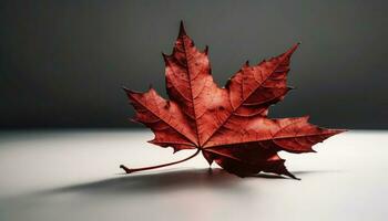 Vibrant maple leaf symbolizes autumn beauty in nature generative AI photo