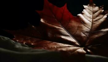 Vibrant autumn maple leaf, close up, backlit generative AI photo