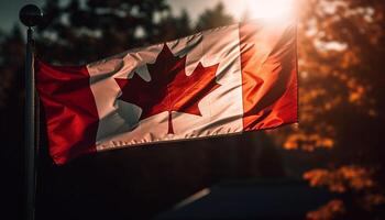 Canadian flag waves proudly in autumn sunlight photo