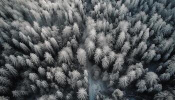 High up, flying drone captures winter wonderland generative AI photo