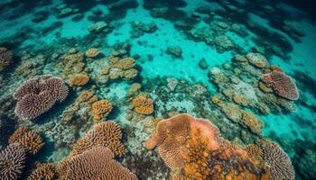 vistoso acuático vida prospera en tropical arrecife generado por ai foto