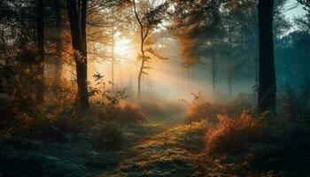 Mysterious autumn forest tranquil sunrise fiery foliage generated by AI photo