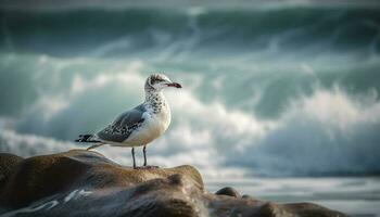 Seagull flying over tranquil coastline at sunset generated by AI photo