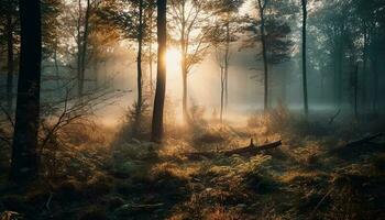 Mysterious forest foggy path tranquil beauty surrounds generated by AI photo