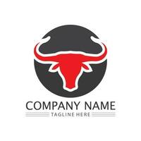 bull and cow logo design icon vector horn animals