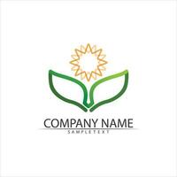 Tree leaf vector and green logo design friendly concept