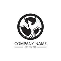 phoenix bird symbol and logo design vector illustration