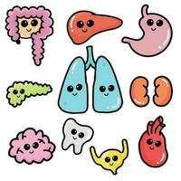 Organ System Drawing Cartoon Images. vector