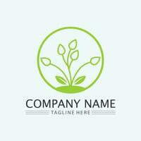 leaf logo design vector for nature symbol template editable,Green leaf logo ecology nature element vector icon.