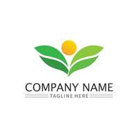 Tree logo icon vector illustration design.Vector silhouette of a tree templates of tree logo and roots  tree of life design illustration