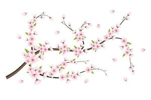 realista Cereza florecer y Cereza flores y pétalos ilustración, cereza florecer vector. rosado sakura flor antecedentes. Cereza florecer flor floreciente vector