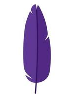 purple feather image over white vector