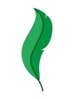 green feather icon over white vector