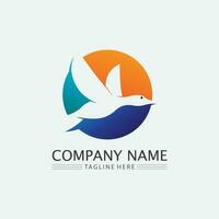 Birds and swallow dove logo design and vector animal wings and flying bird