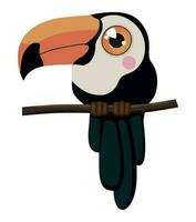 cute toucan design over white vector