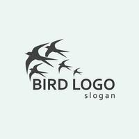 Birds and swallow dove logo design and vector animal wings and flying bird