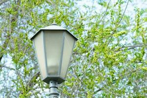 antique street lamp in the park in summer, close up photo