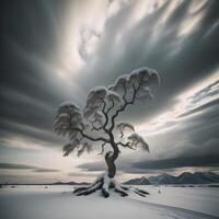 Winter landscape with frozen lake and snowy tree. Dramatic sky. photo