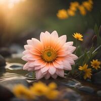 hermosa rosado margarita flor en el jardín a puesta de sol tiempo. generativo ai foto