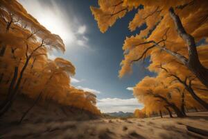 Autumn landscape with yellow trees and blue sky. photo