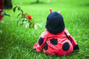 Little baby girl wearing a ladybug costume. Halloween concept. photo