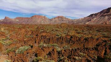 Antenne Aussicht von erstarrt Lava und spärlich Vegetation im das teide National Park. Teneriffa, Kanarienvogel Inseln video