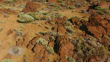 antenne visie van gestold lava en dun vegetatie in de teide nationaal park. tenerife, kanarie eilanden video