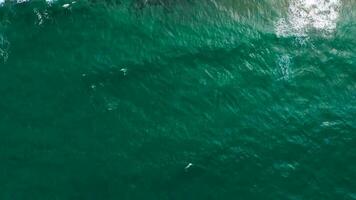 Aerial view of the Mediterranean coast, waves reach the deserted sandy beach video