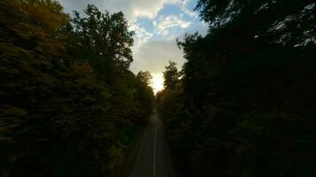 aereo Visualizza di il autunno foresta vicino il strada lungo quale il macchine siamo guida. liscio volo vicino per rami con giallo fogliame a tramonto video