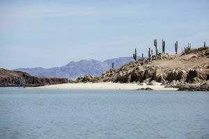 mar, Desierto y playa a bahía de el ángeles - baja California foto