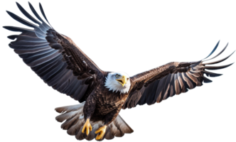 aquila png con ai generato.