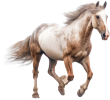 paard PNG met ai gegenereerd.