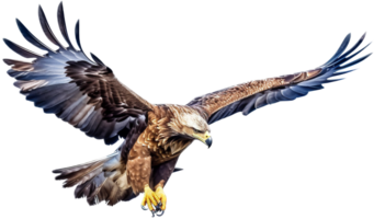 águila png con ai generado.