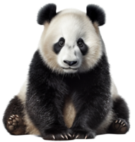 panda PNG met ai gegenereerd.