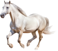Horse with . png