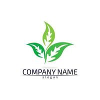 Tree leaf vector design eco friendly concept logo