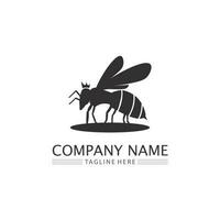 Honey and bee icon logo vector animal design and illustration