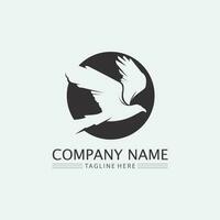 Birds and swallow dove logo design and vector animal wings and flying bird