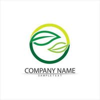 Tree leaf vector and green logo design friendly concept