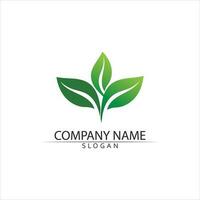 Tree leaf vector and green logo design friendly concept