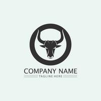 Bull buffalo head cow animal  mascot logo design vector for sport horn buffalo animal mammals head logo wild matador