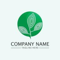 leaf logo design vector for nature symbol template editable,Green leaf logo ecology nature element vector icon.