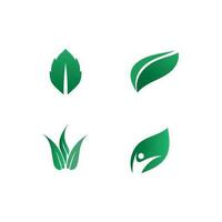 Tree leaf vector design eco friendly concept logo