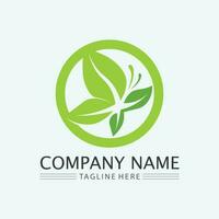 leaf logo design vector for nature symbol template editable,Green leaf logo ecology nature element vector icon.