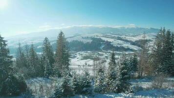 Aerial view of snow covered trees in the mountains in winter. Village at the foot of the mountain. Filmed on FPV drone video