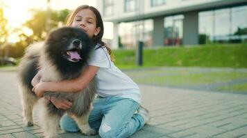 brunette meisje knuffels een pluizig hond Bij zonsondergang buitenshuis video