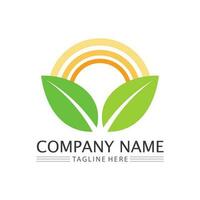 Eco Energy Vector Logo with leaf symbol. Green color with flash or thunder graphic. Nature and electricity renewable. This logo is suitable for technology, recycle, organic.